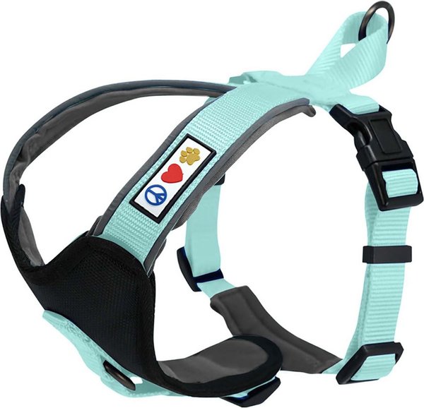 Pawtitas Nylon Reflective Back Clip Dog Harness, Teal, X-Small: 14 to 18-in chest slide 1 of 10