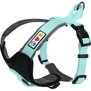 Pawtitas Nylon Reflective Back Clip Dog Harness, Teal, X-Small: 14 to 18-in chest