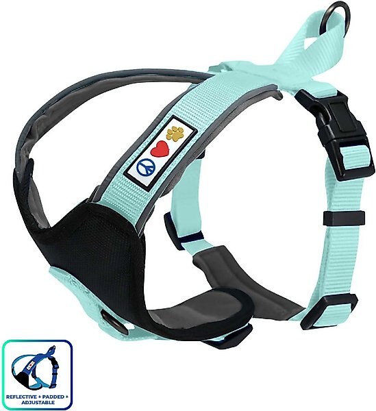 Pawtitas Nylon Reflective Back Clip Dog Harness, Teal, Medium/Large: 22 to 28-in chest slide 1 of 12
