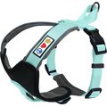 Pawtitas Nylon Reflective Back Clip Dog Harness, Teal, Medium/Large: 22 to 28-in chest