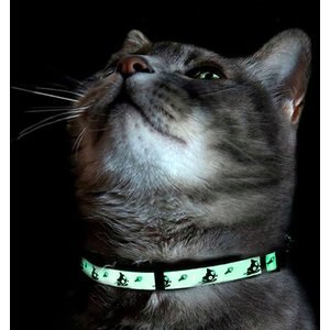 Pawtitas Glow in the Dark Nylon Breakaway Cat Collar with Bell, Teal, 7 to 11-in neck, 3/8-in wide
