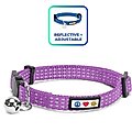 Pawtitas Nylon Reflective Breakaway Cat Collar with Bell, Purple Orchid, 7 to 11-in neck, 3/8-in wide