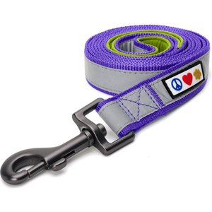 Pawtitas Nylon Reflective Padded Dog Leash, Purple, X-Small/Small: 6-ft long, 5/8-in wide