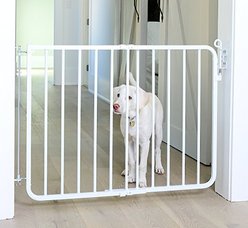 Cardinal Gates Auto-Lock Pet Gate, White slide 1 of 5