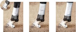 PawFlex Equine BandaFlex Disposable Horse Bandages Variety Pack, 10 count