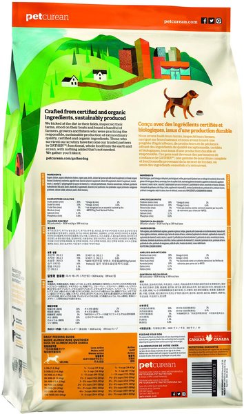 Gather dog food best sale