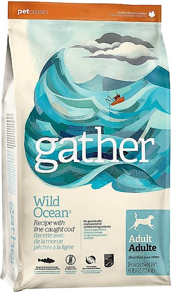 Petcurean Gather Grain Free Wild Ocean Line-Caught Cod Recipe Adult Dry Dog Food
