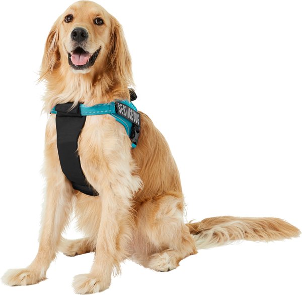 CHAI S CHOICE Service Dog Harness Blue X Large 28 to 38 in chest Chewy