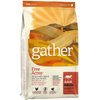 Gather Free shipping Chewy