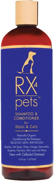 RX 4 Pets Dog & Cat Skin Irritation Shampoo & Conditioner, 16-oz bottle slide 1 of 8