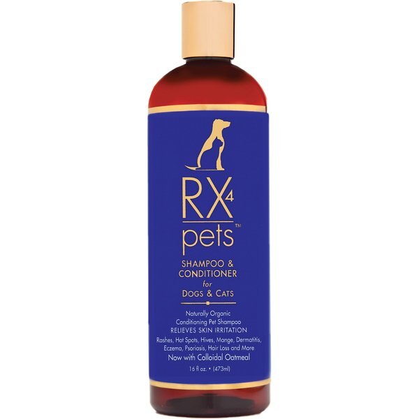 DAVIS Benzoyl Peroxide Dog & Cat Shampoo, 2 count