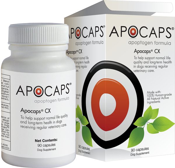 Apocaps CX Apoptogen Formula Dog Supplement, 90 count slide 1 of 4