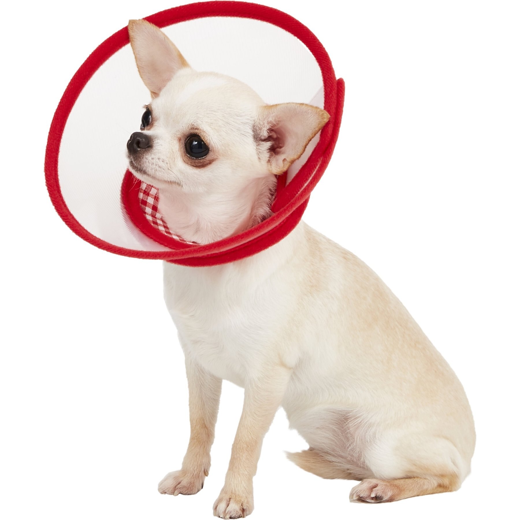 Velcro cones hot sale for dogs