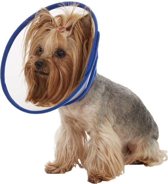 Alfie Pet Zumi Soft Edge Velcro Closure Dog & Cat Recovery Collar, Blue, Small slide 1 of 9