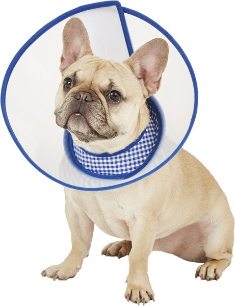 Alfie Pet Zumi Soft Edge Velcro Closure Dog & Cat Recovery Collar, Blue, Large slide 1 of 9