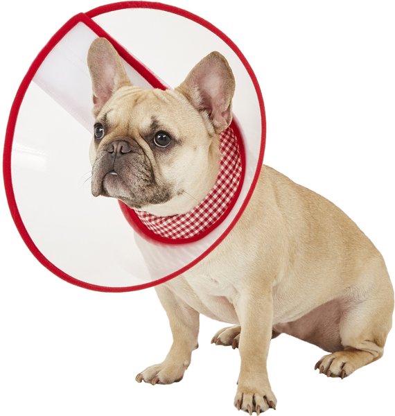 Alfie Pet Zumi Soft Edge Velcro Closure Dog & Cat Recovery Collar, Red, Large slide 1 of 6