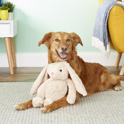 Show full view: Petlou Colossals Rabbit Plush Dog Toy, 15-in slide 3 of 7