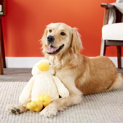 Show full view: Petlou Colossals Duck Plush Dog Toy, 15-in slide 3 of 7