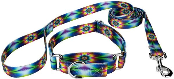 Country Brook Design Tie-Dye Flowers Polyester Martingale Dog Collar & Leash, Small: 11 to 15-in neck, 5/8-in wide slide 1 of 10