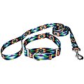 Country Brook Design Tie-Dye Flowers Polyester Martingale Dog Collar & Leash, Small: 11 to 15-in neck, 5/8-in wide