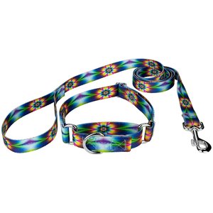 Country Brook Design Tie-Dye Flowers Polyester Martingale Dog Collar & Leash, Medium: 15 to 21-in neck, 1-in wide