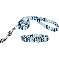 Country Brook Design Martingale Dog Collar & Leash, Snowy Pines