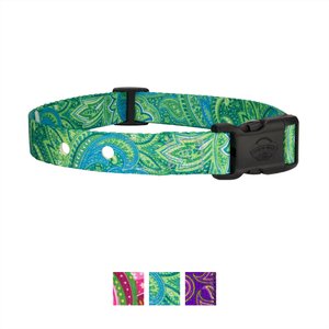 Country Brook Design Replacement Fence Receiver Dog Collar, Green Paisley