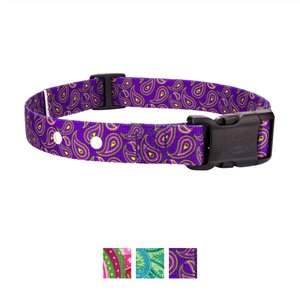 Country Brook Design Replacement Fence Receiver Dog Collar, Purple Paisley