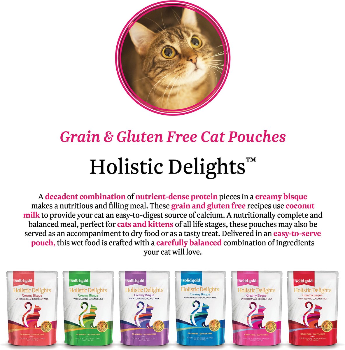 Holistic delights 2024 cat food