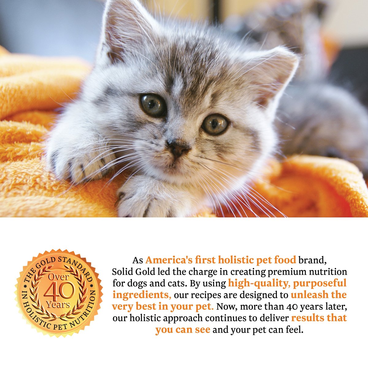 Holistic delights hotsell cat food