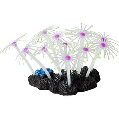 Sporn Star Polyps Coral Aquarium Decoration, Green/Purple