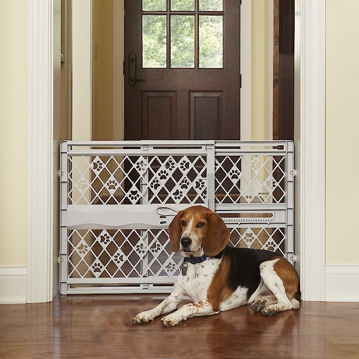 Pet gate outlet