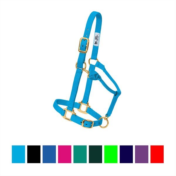 Weaver Leather Basic Adjustable Nylon Halter, Blue, 1 Large