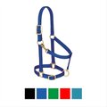 Weaver Leather Basic Adjustable Nylon Horse Halter, Blue, Average