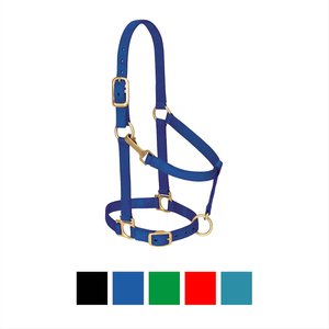 Weaver Leather Basic Adjustable Nylon Horse Halter, Blue, Large