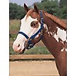 Weaver Basic Adjustable Nylon Halter, 1" Small Horse (Multiple Color Options