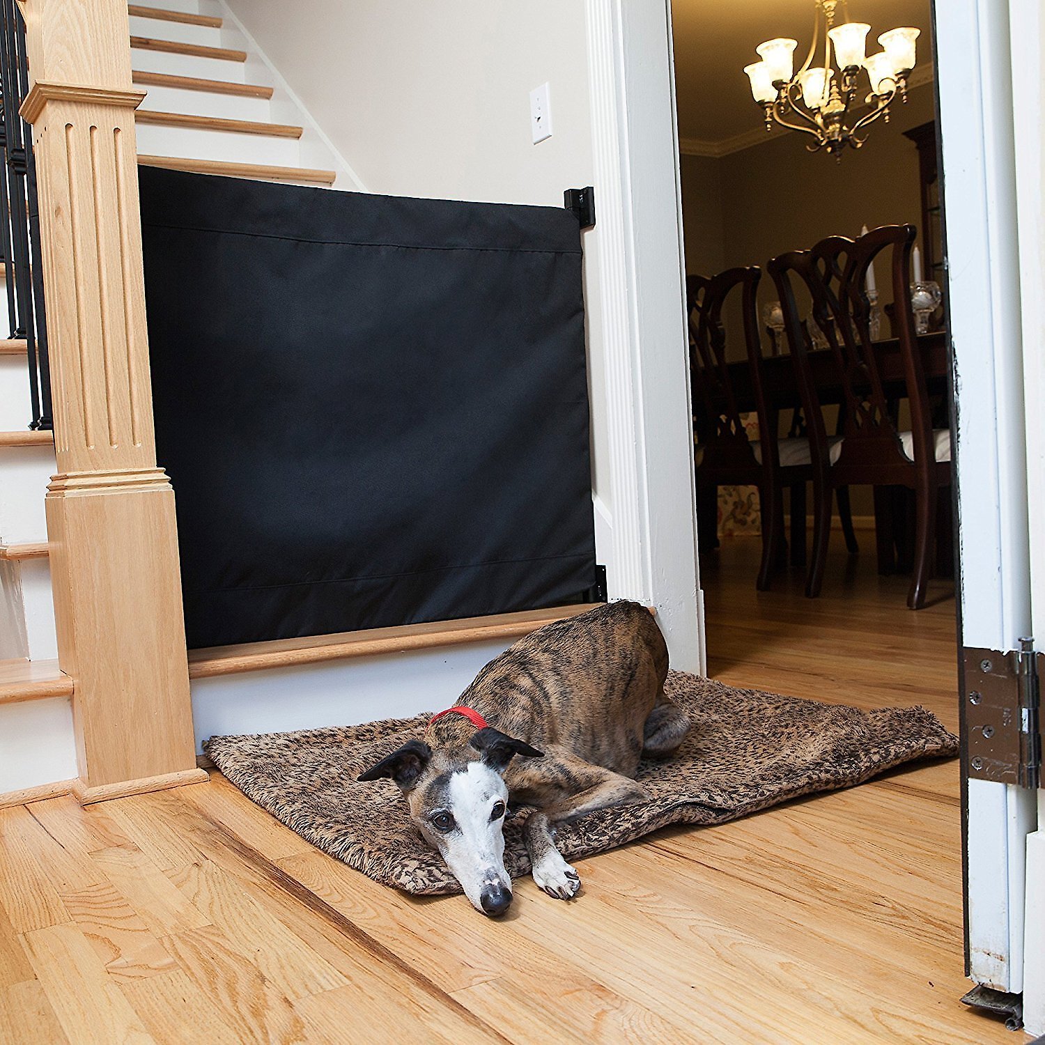Questions and Answers about THE STAIR BARRIER Wall to Banister Indoor ...
