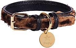 PoisePup Wildest One Leather Standard Dog Collar, Black/Leopard, Medium: 12.5 to 15.7-in neck, 3/4-in wide