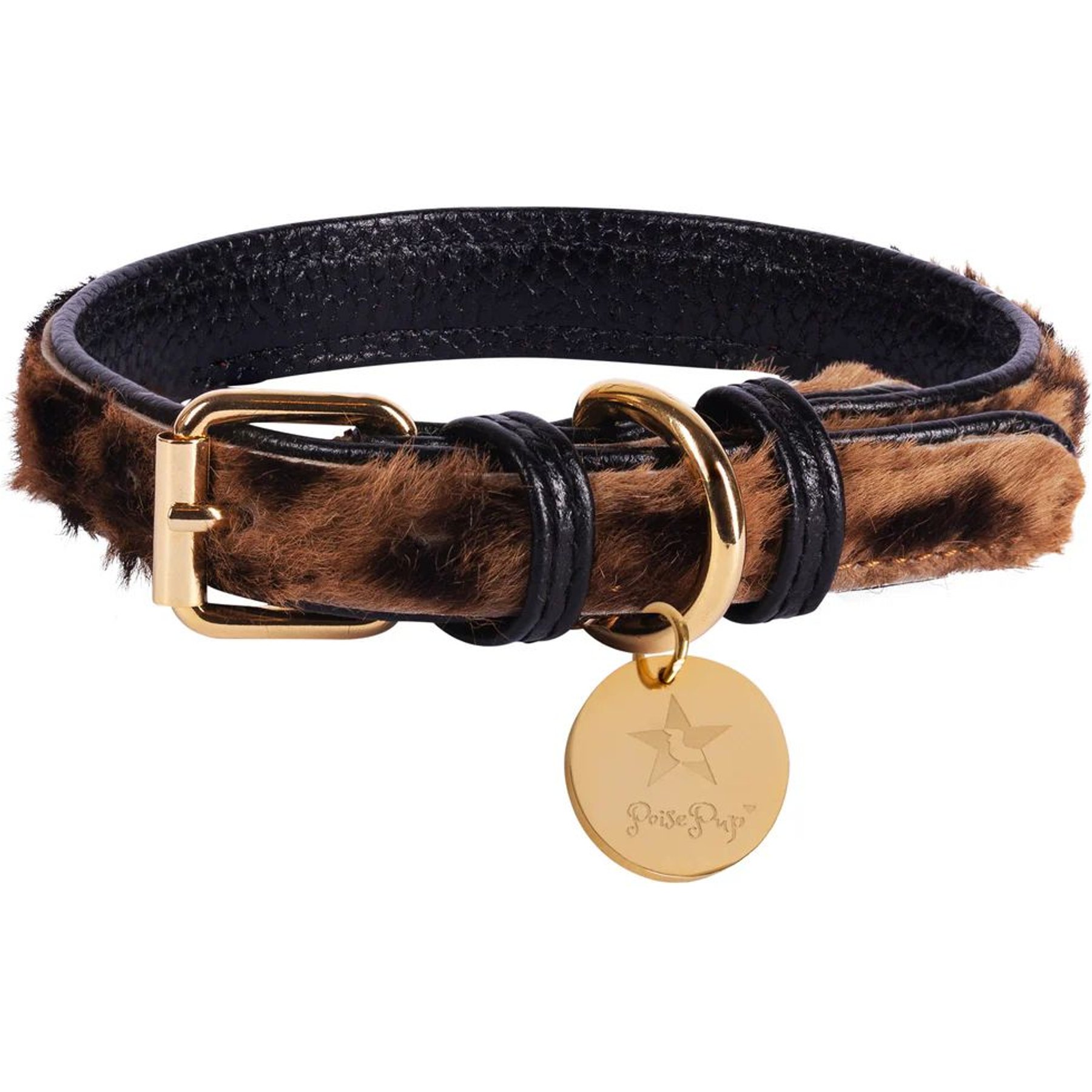 PoisePup Wildest One Leather Standard Dog Collar, Black/Leopard, Medium: 12.5 to 15.7-in neck, 3/4-in wide