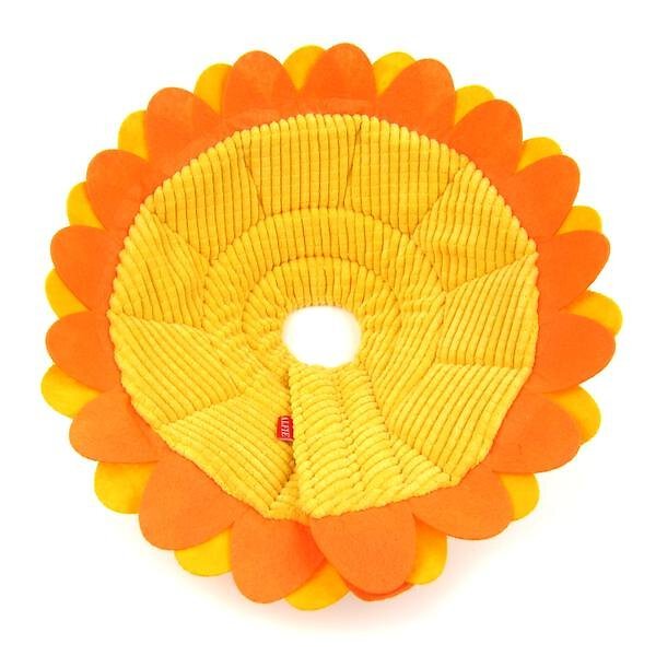 ALFIE PET Noah Sunflower Dog & Cat Recovery Collar Customer Questions