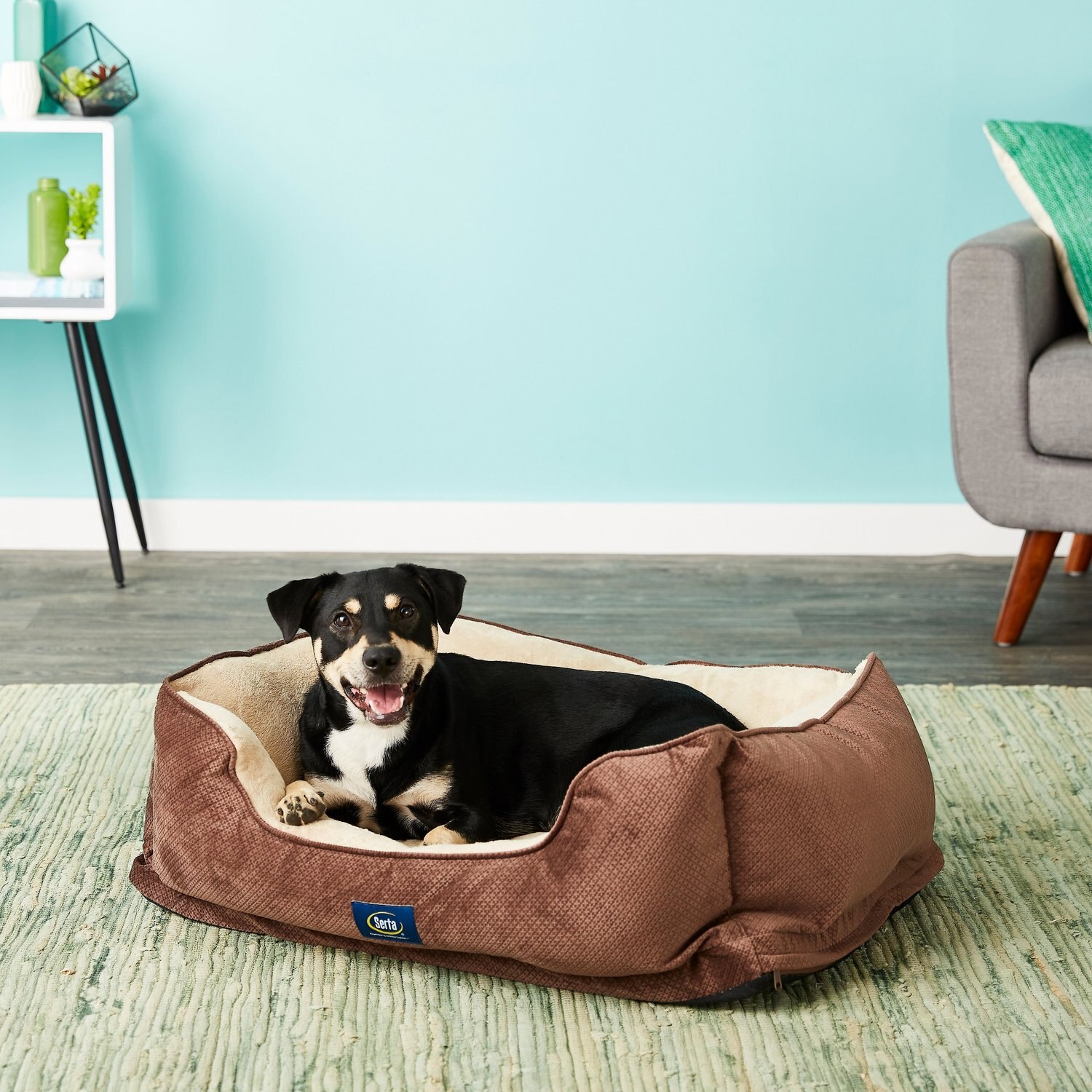 chewy bolster bed