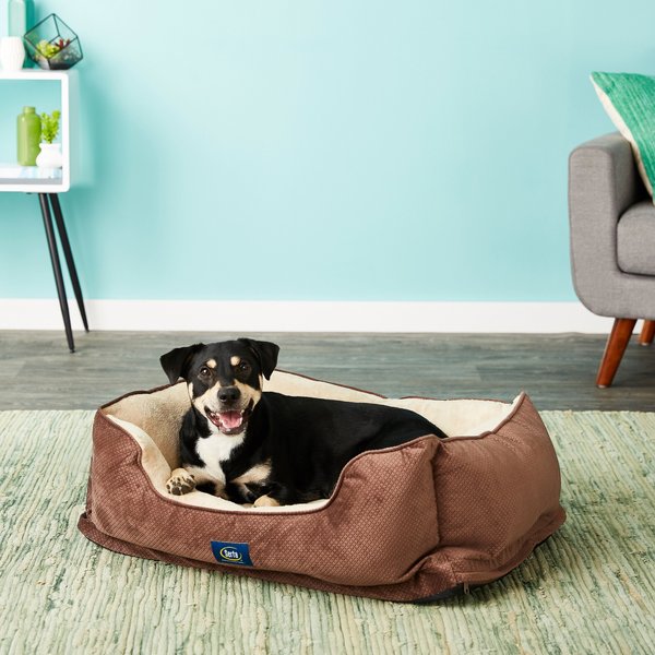 SERTA Orthopedic Bolster Dog Bed with Removable Cover, Mocha