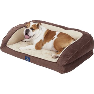 10 Best Orthopedic Dog Beds 2024: According To Reviews | Chewy