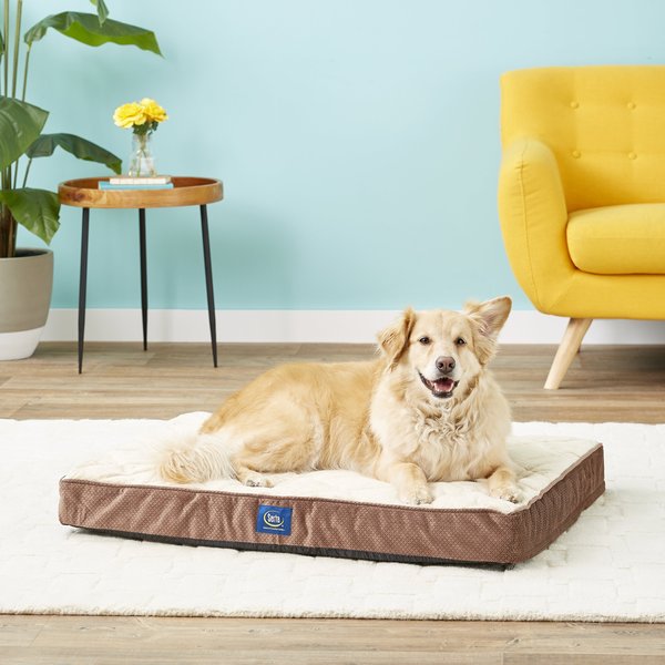 Serta Quilted Orthopedic Pillowtop Dog Bed w/Removable Cover, Mocha, Large slide 1 of 8