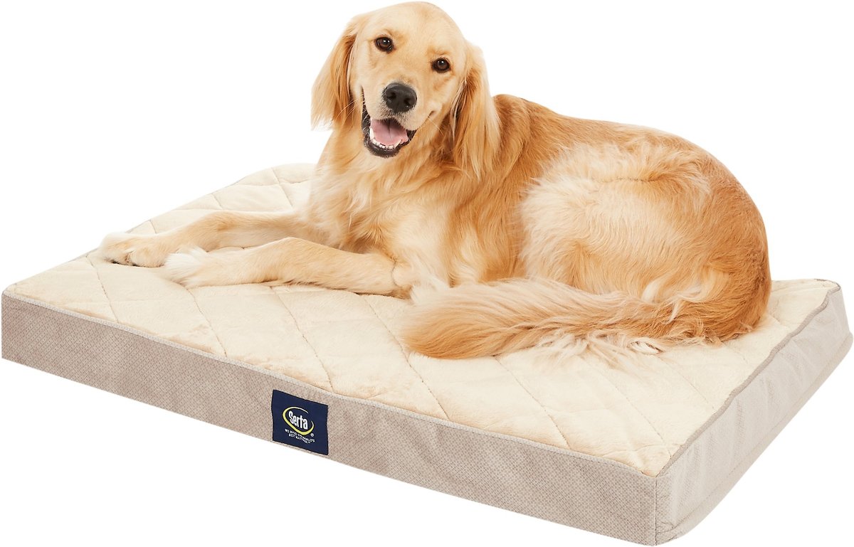 SERTA Quilted Orthopedic Pillowtop Dog Bed with Removable Cover, Grey ...