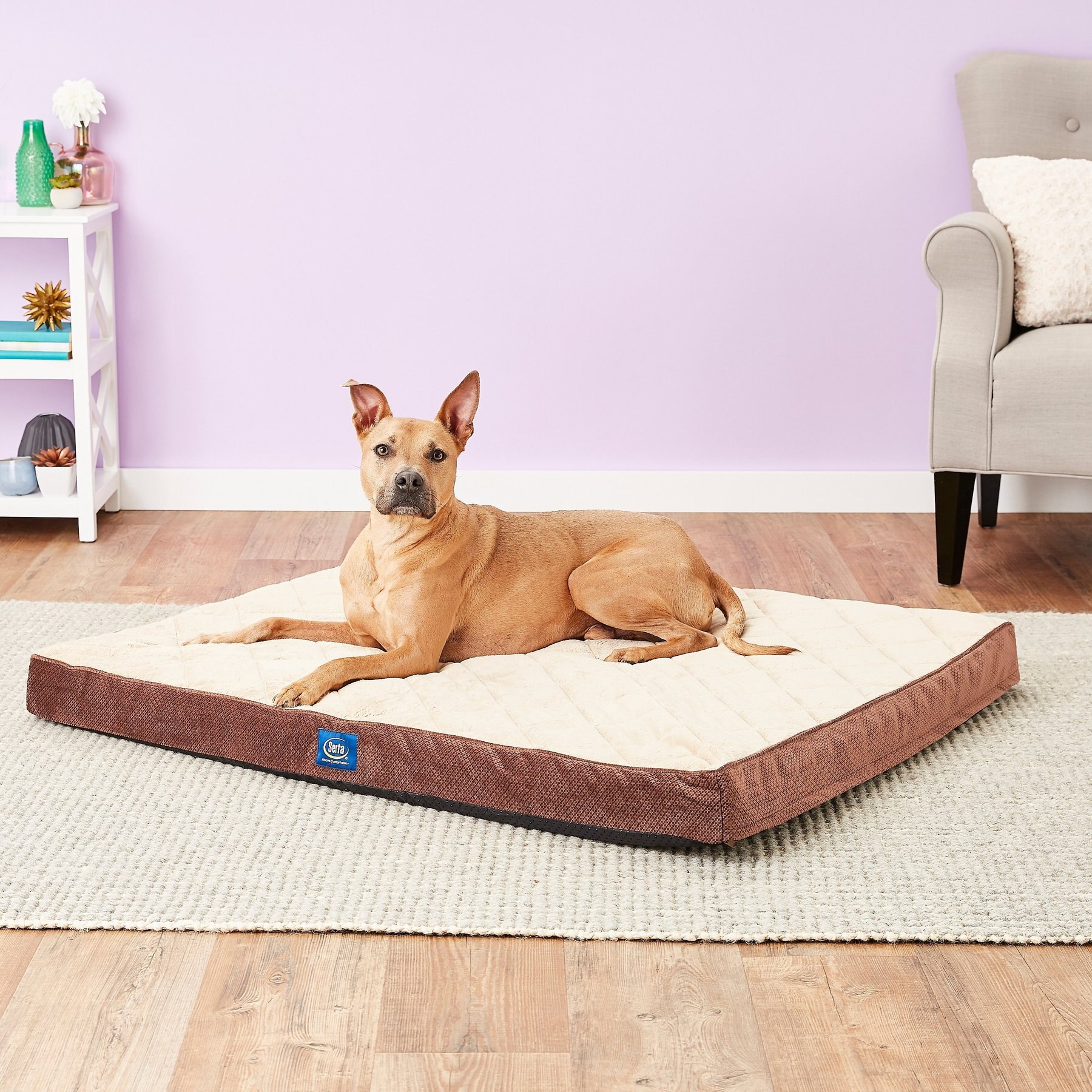 Serta Quilted Orthopedic Pillowtop Dog Bed w Removable Cover Mocha X Large
