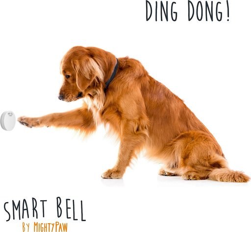 Mighty Paw Smart Bell 2.0 Potty Training Dog Doorbell, White, 1 count