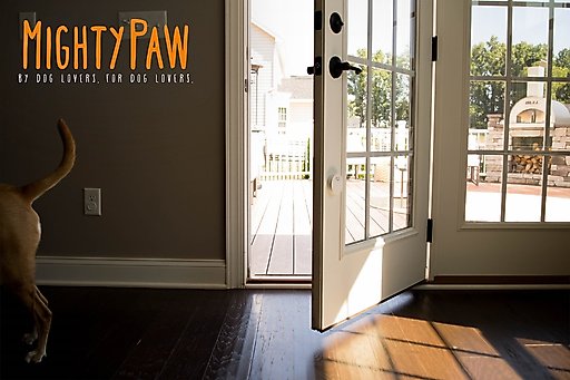 Mighty Paw Smart Bell 2.0 Potty Training Dog Doorbell, White, 1 count