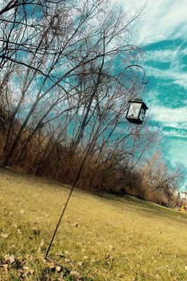 Show full view: Ashman Black Shepherd Hook, Black, 92-in, 2 count slide 4 of 5