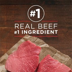 Purina ONE SmartBlend Grain-Free True Instinct Classic Ground with Real Beef & Wild-Caught Salmon Canned Dog Food, 13-oz, case of 12 slide 2 of 8